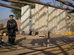 Noodles drying