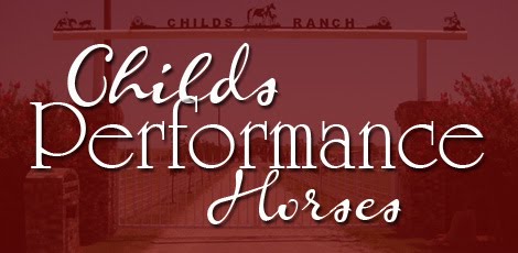 Childs Performance Horses