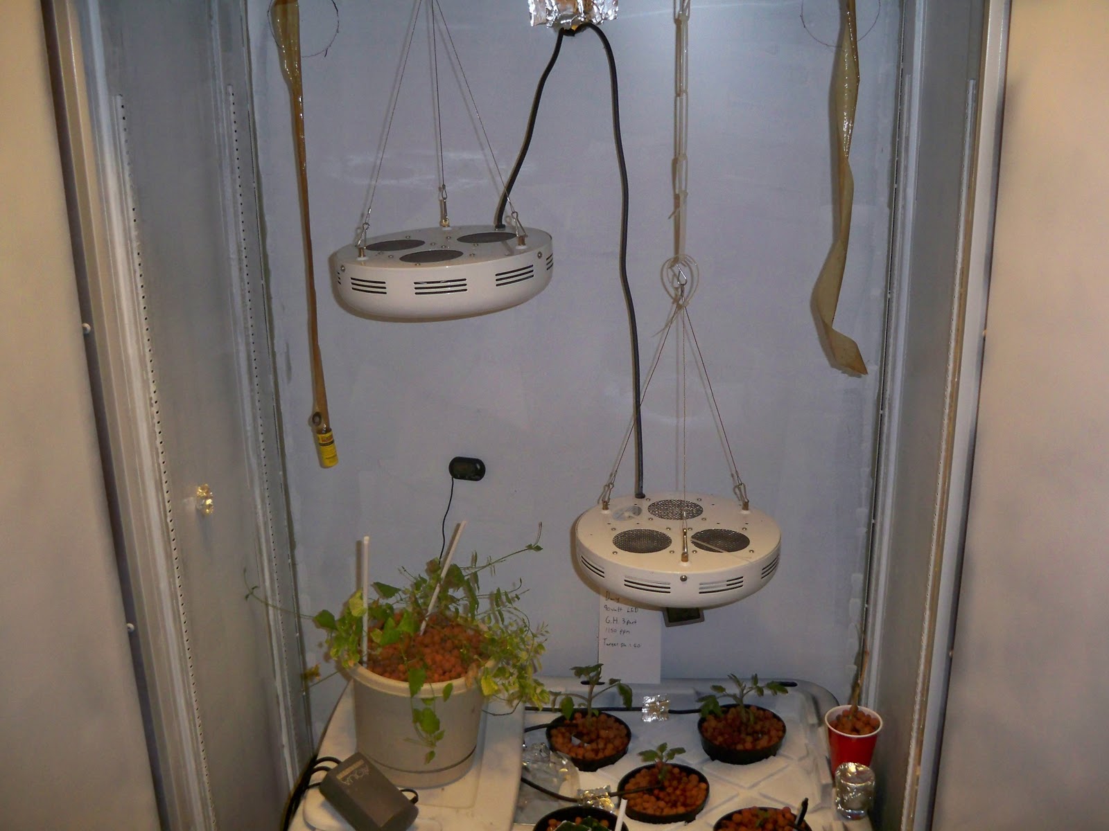 Image showcasing Apartment Hydroponics: My First Real Hydroponic Set Up.