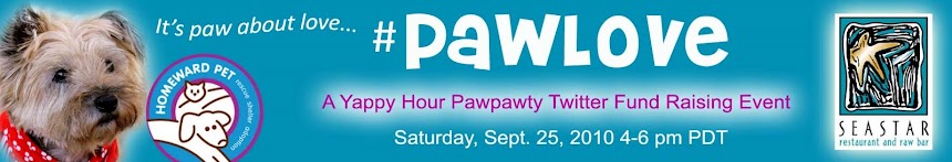 Paw Love in Seattle