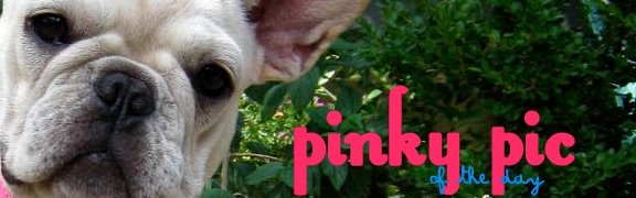 Pinky Pic of the Day