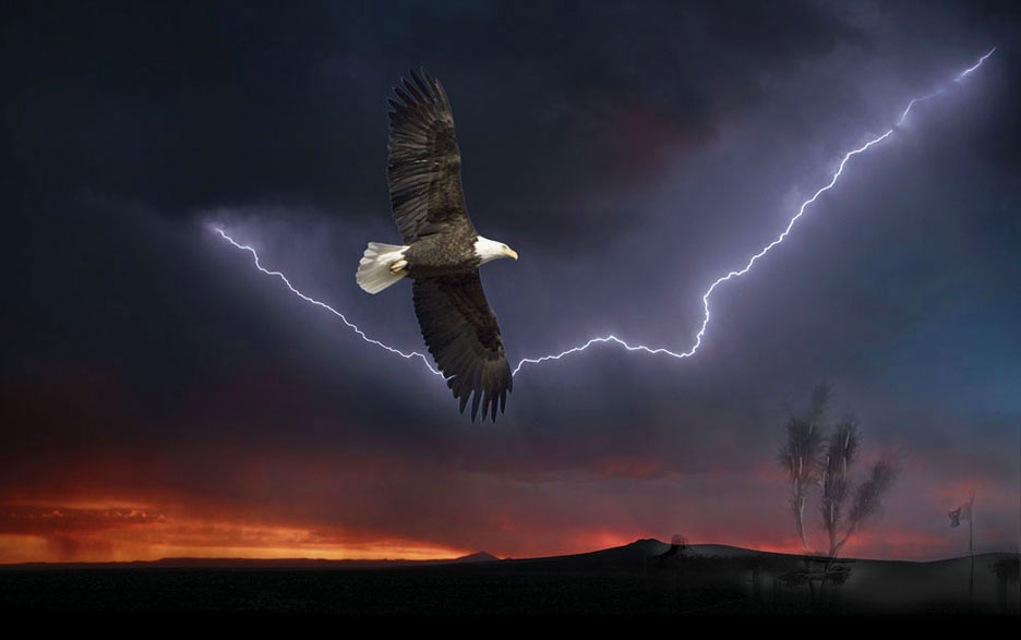 Kaufman Wings like Eagles