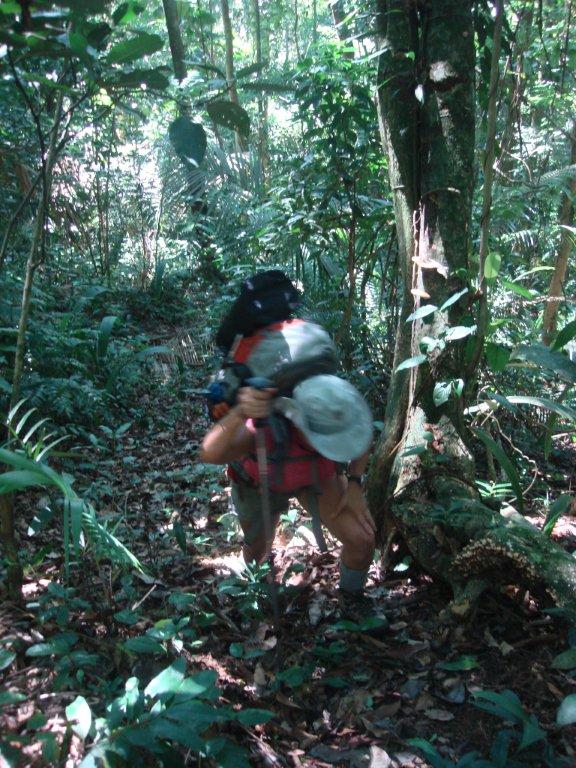 Kalapalo Editora  TREKKING NA ILHABELA