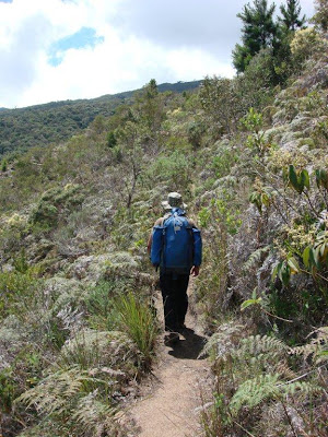 Trilha de trekking para subir até o Pico Paraná, mapeada no guia.