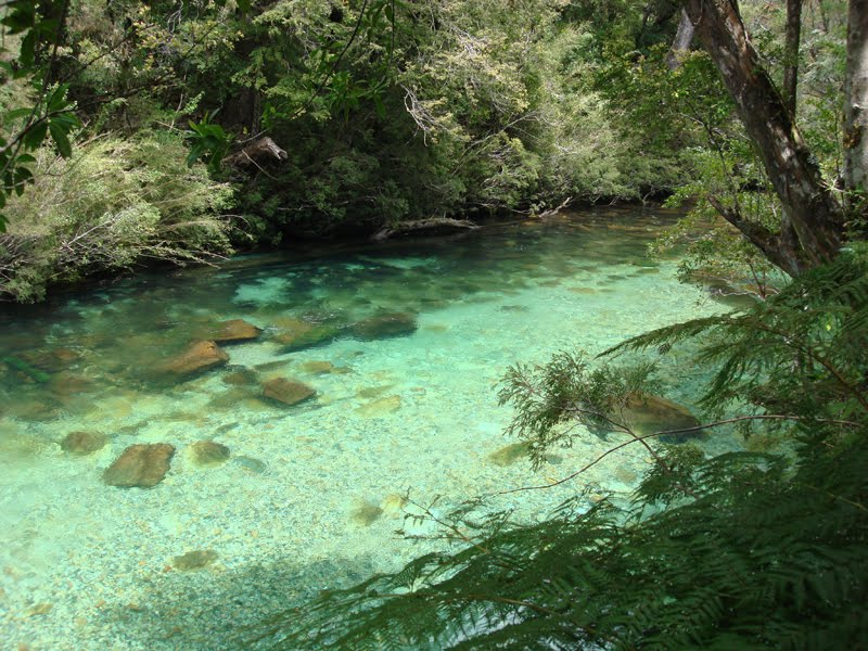 [Rio+Cochamó.jpg]
