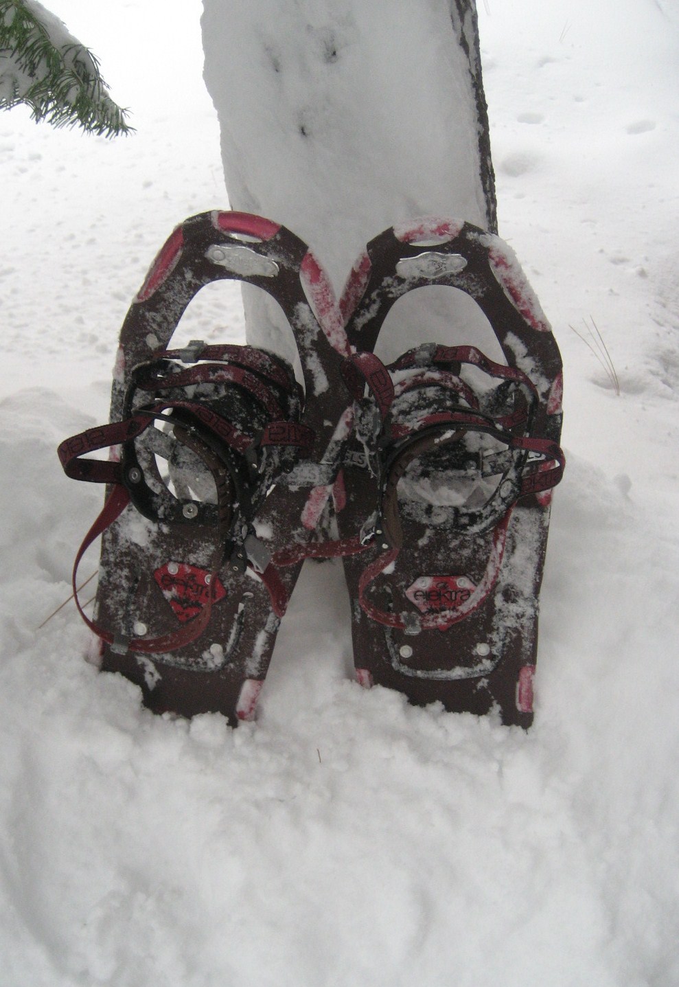 footwear for snowshoeing