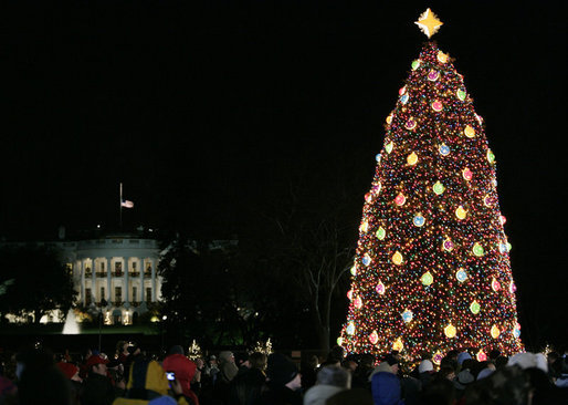 [bush_christmas_tree_4.jpg]