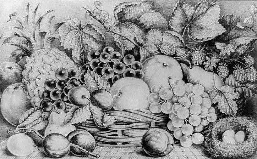 [currier_ives_fruit_still_life_4.jpg]