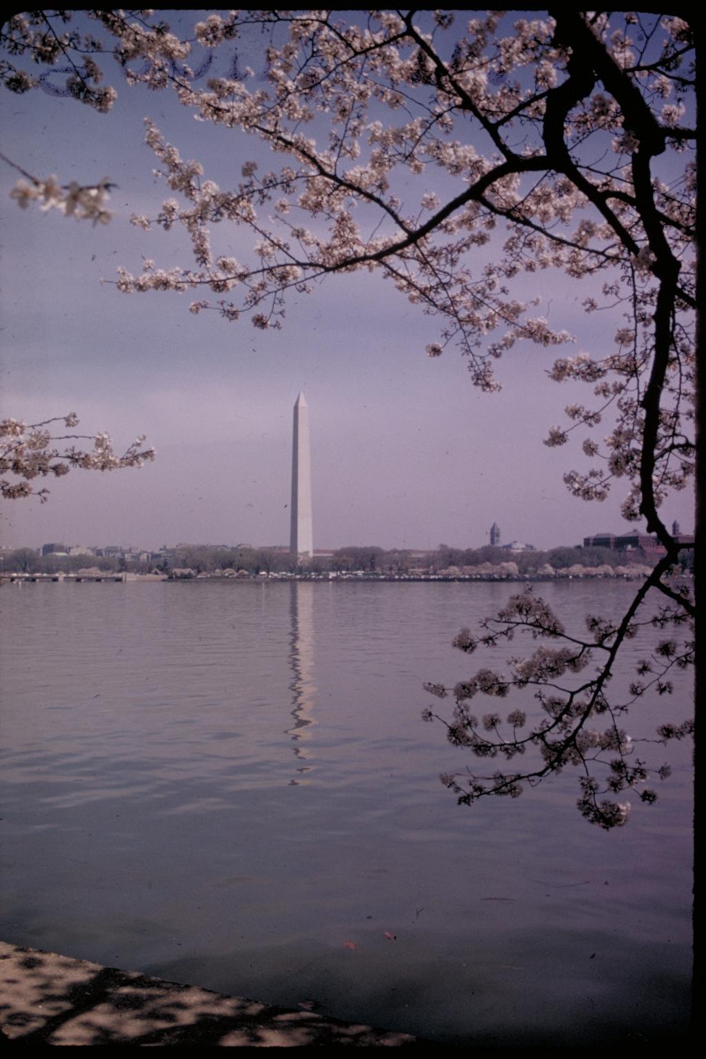 [washington_monument_3.jpg]