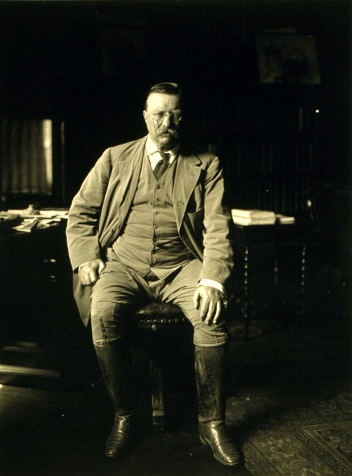 [theodore_roosevelt_2.jpg]