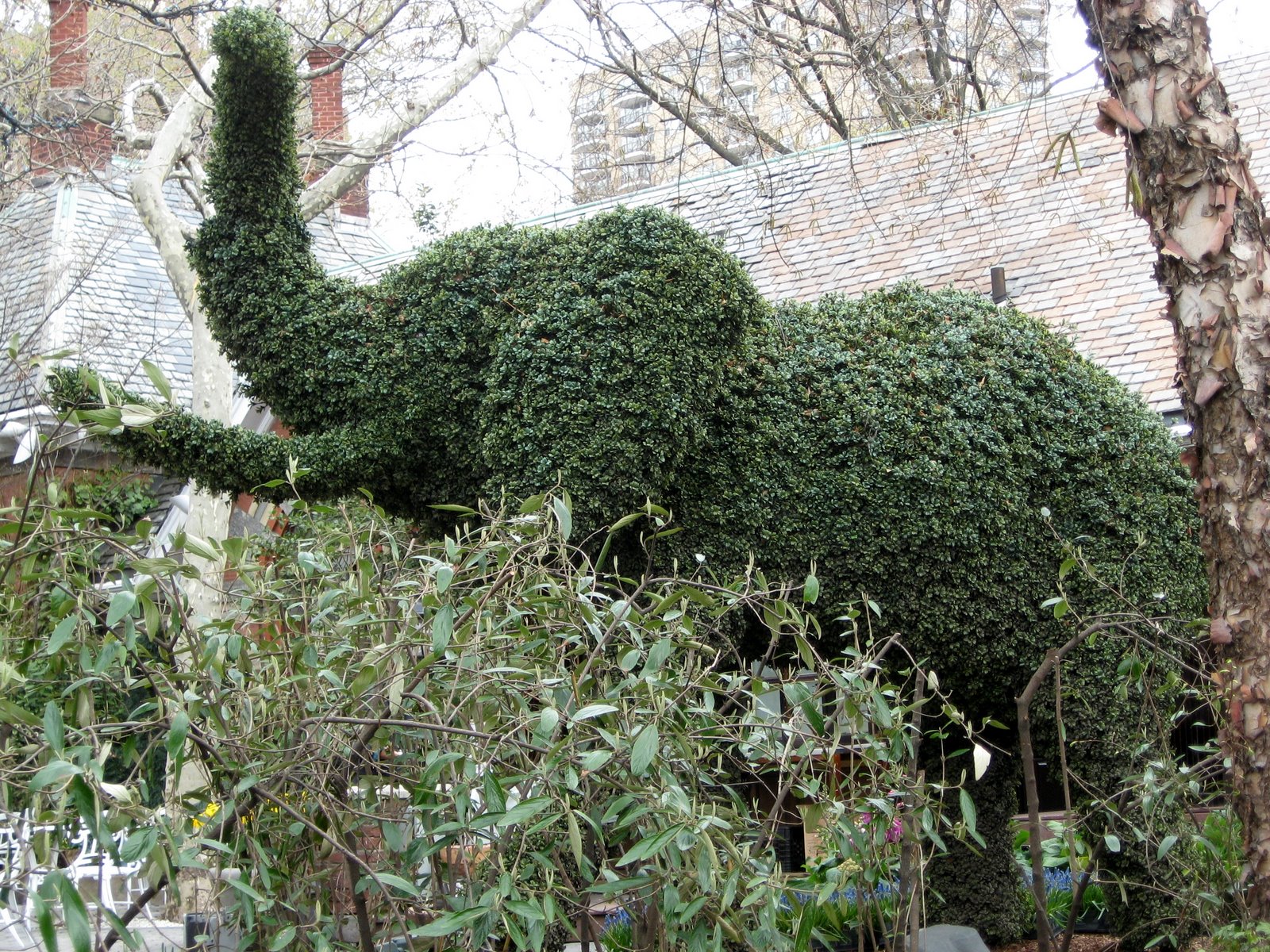 [topiary_elephant.jpg]