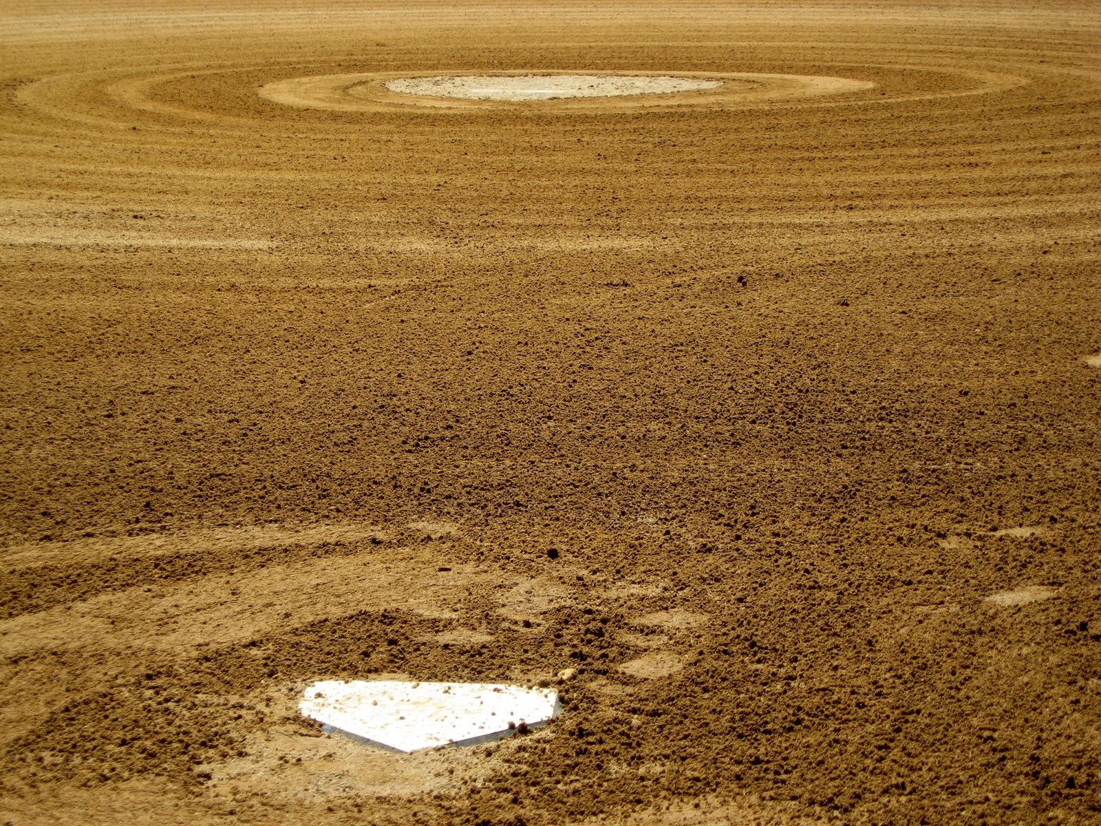 [plate_and_mound.jpg]