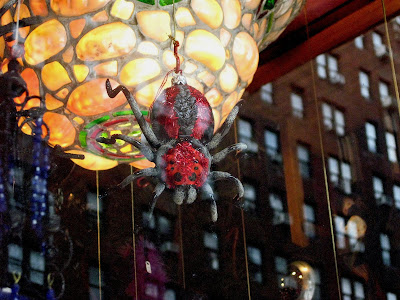 Not So Itsy Bitsy Spider