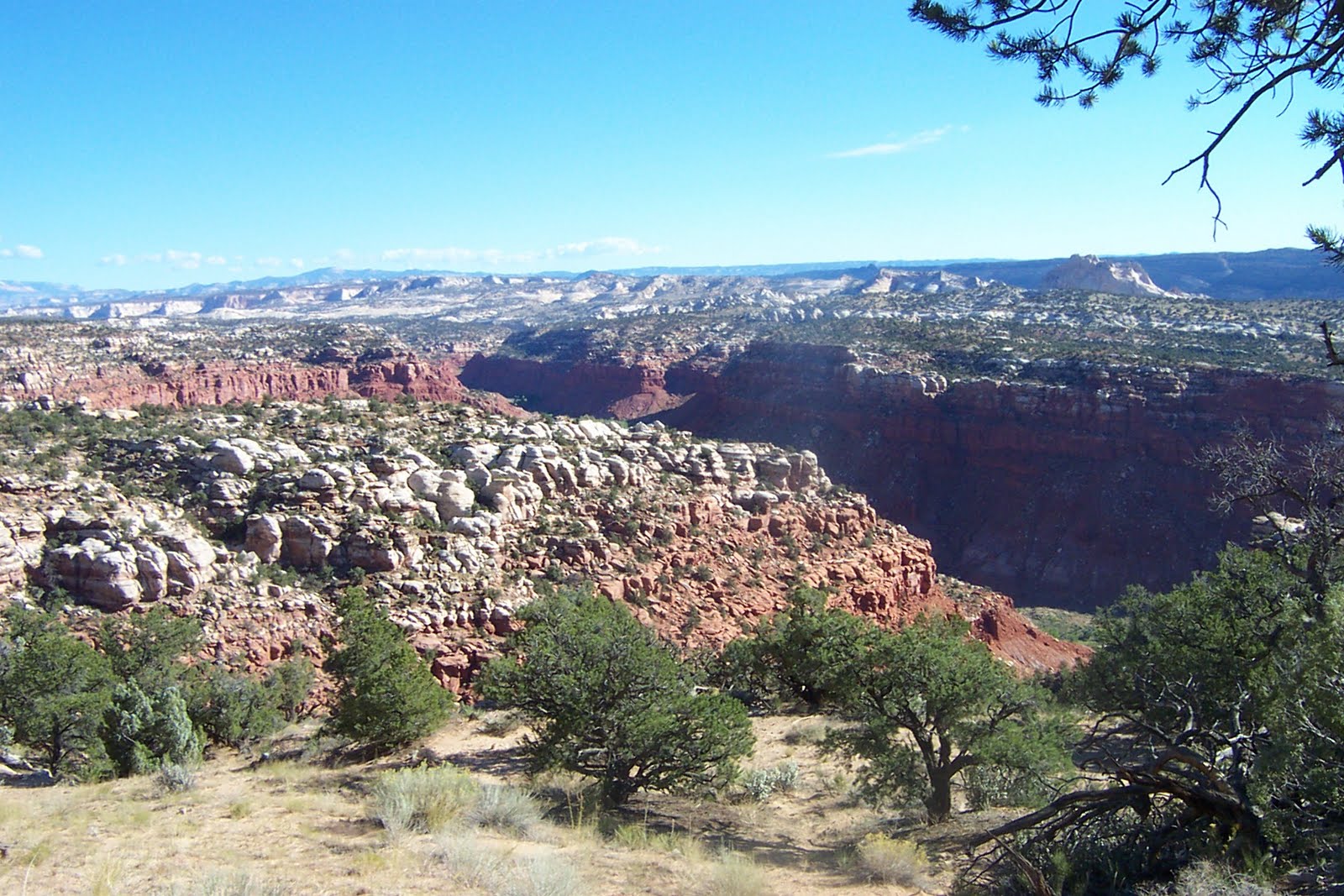 Arizona Jones Outdoor: Yellow Rock and Hackberry Canyon, Utah