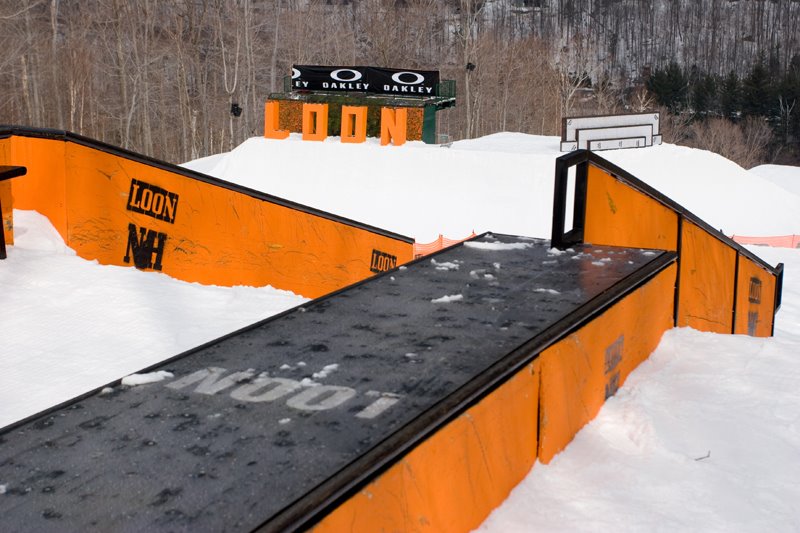 [Last_Call_Loon_NH_NP29_L.jpg]