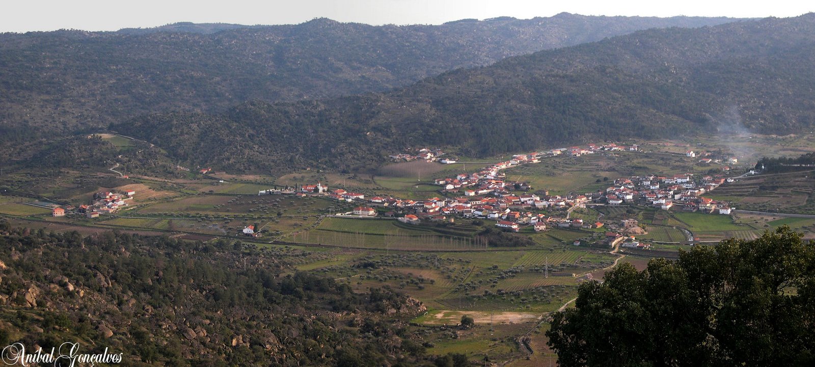 [VilaFlor273.jpg]