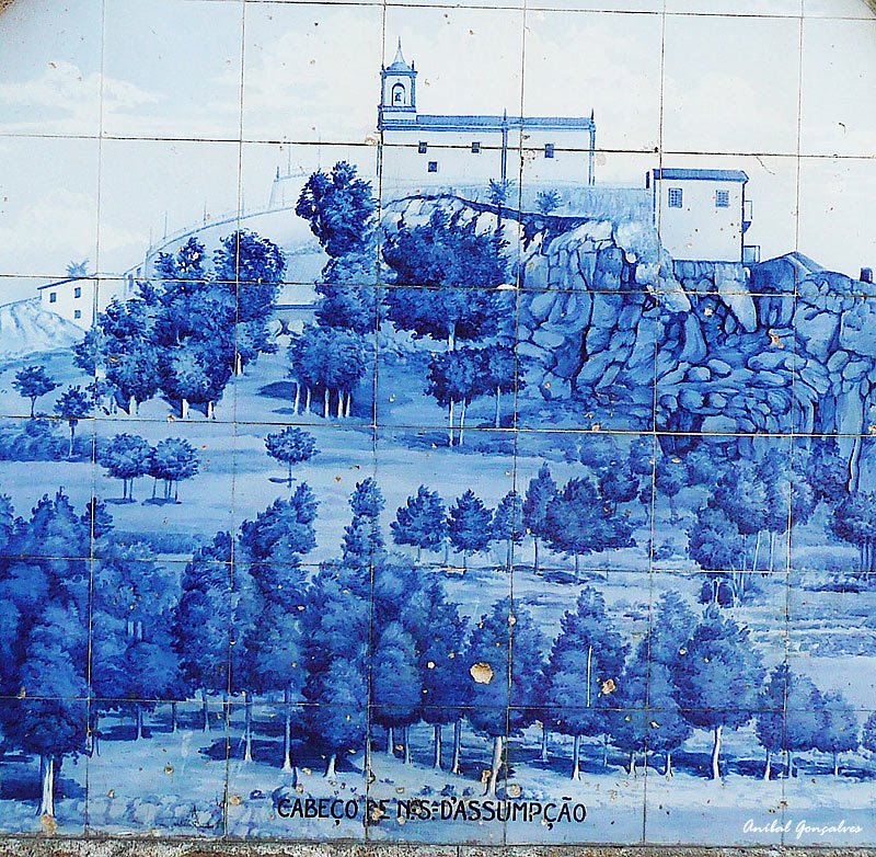 [VilaFlor1163c.jpg]