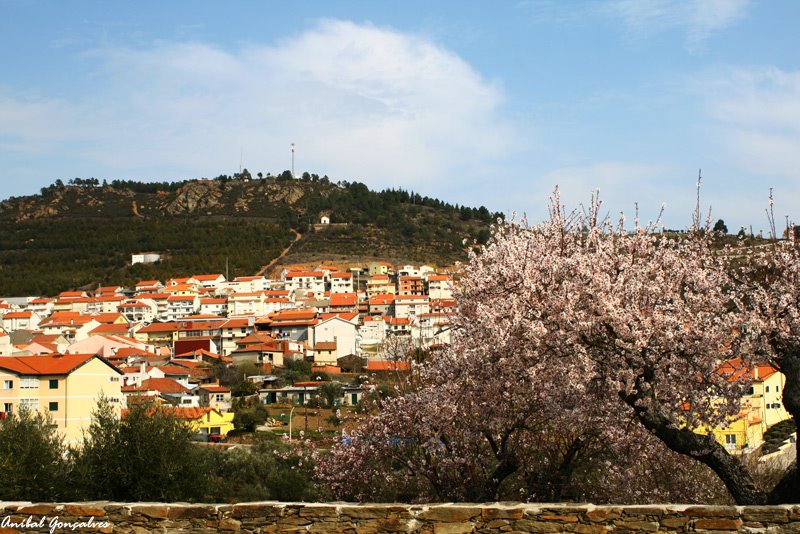 [VilaFlor1401.jpg]