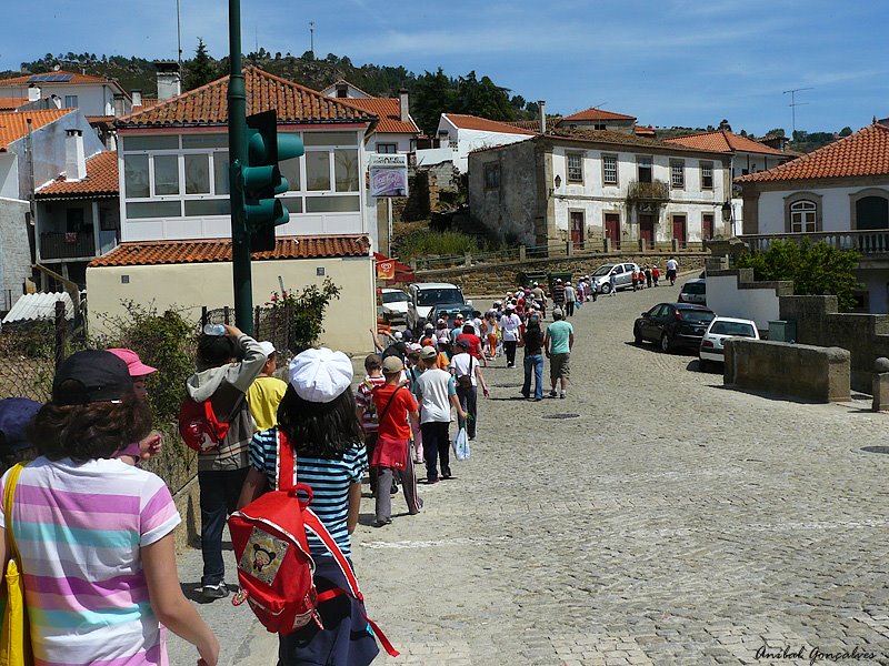 [VilaFlor1458.jpg]
