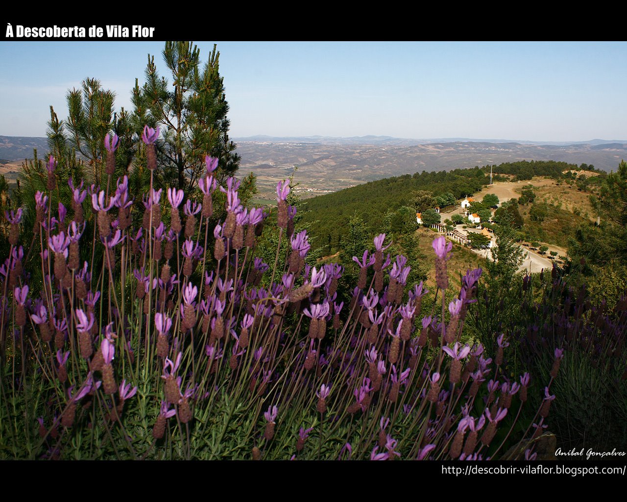 [VilaFlor1470.jpg]