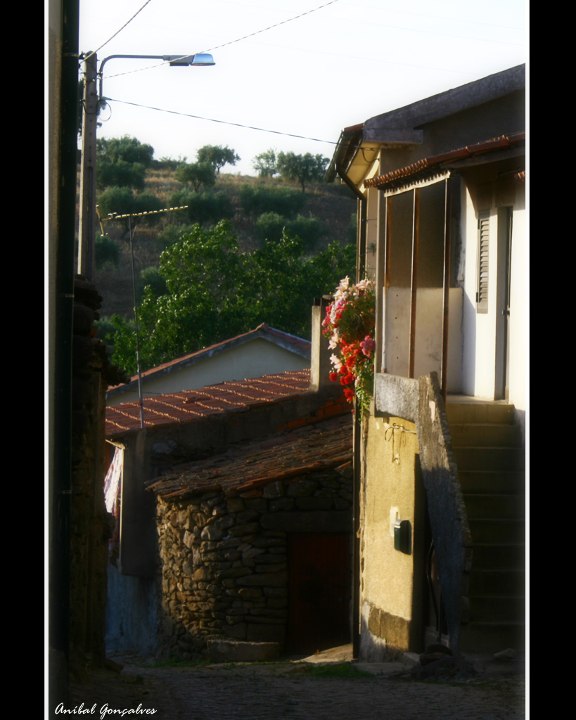 [VilaFlor1506.jpg]