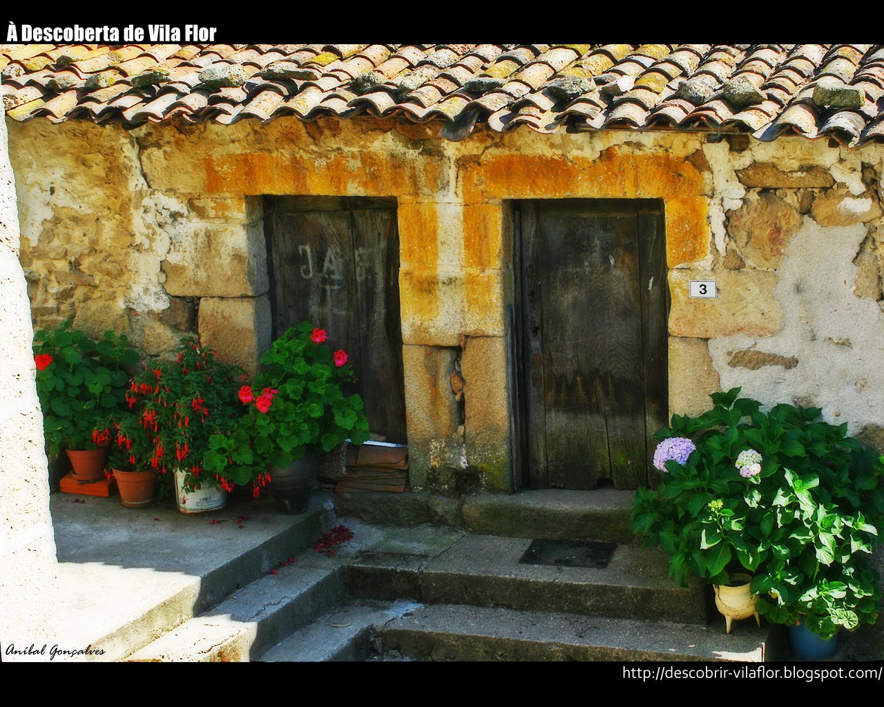 [VilaFlor1498.jpg]