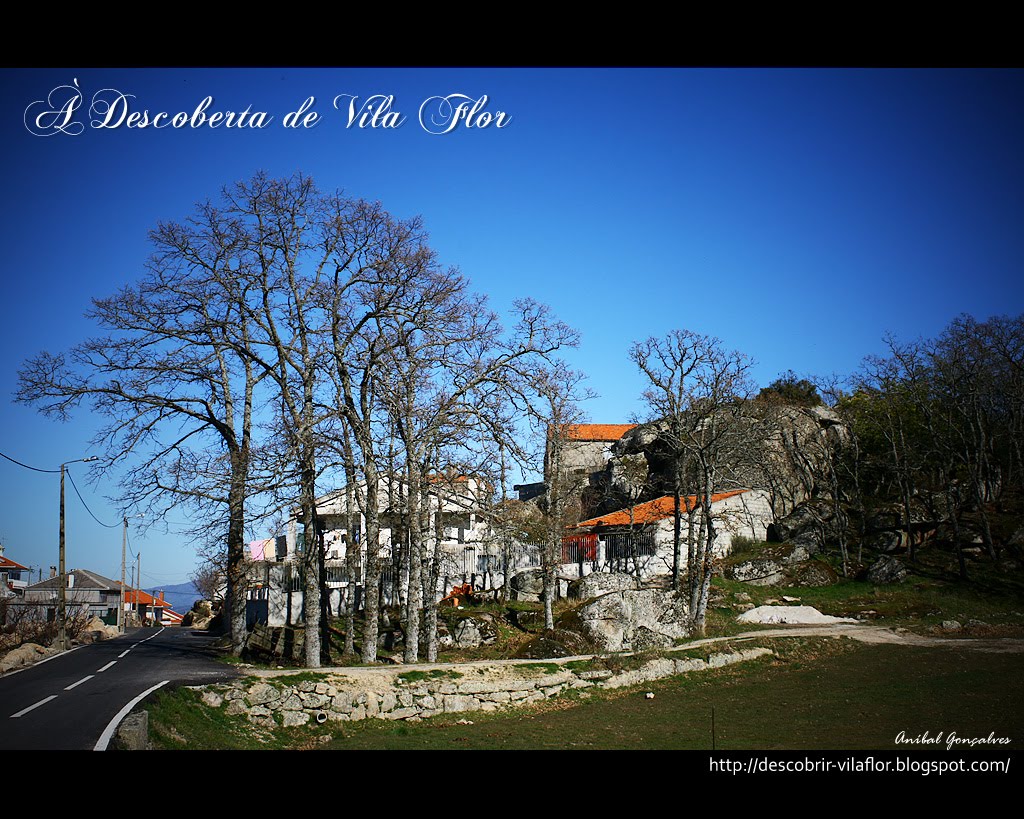 [VilaFlor1562.jpg]