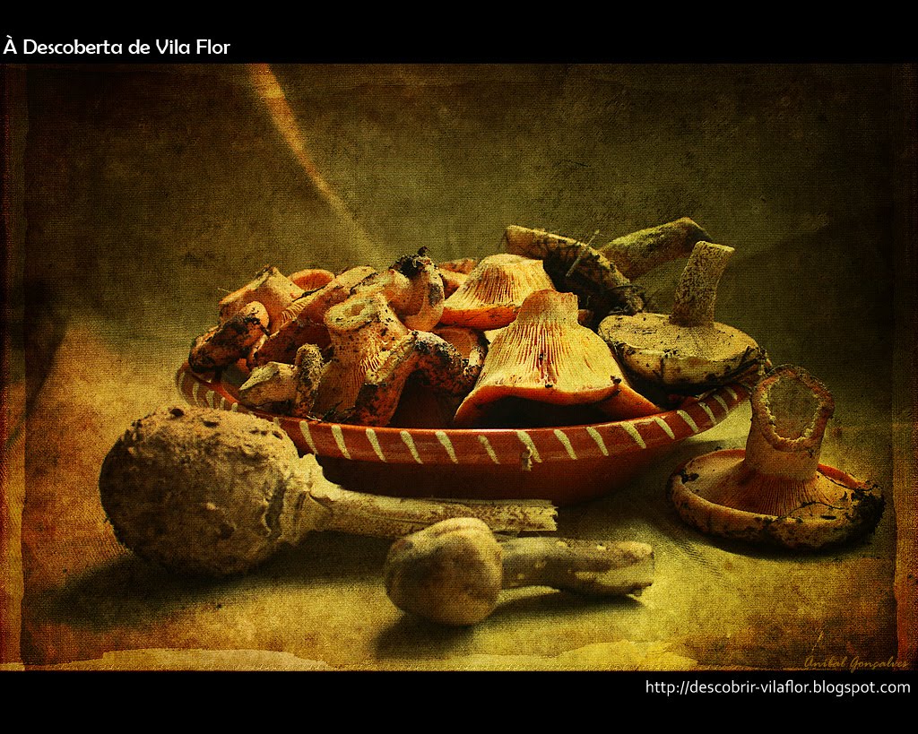 [VilaFlor1725.jpg]