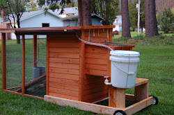 coop adventure gutter