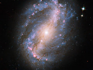 Galaxia espiral barrada NGC 6217