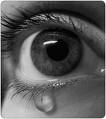 [teardrop.jpg]