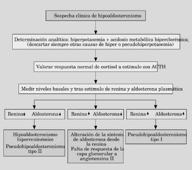 Signos de hipertensión aldosterona normal con baja renina Signos de hipertensión aldosterona normal con baja renina