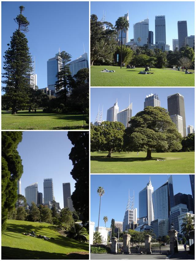 Sydney Central business district vu du jardin