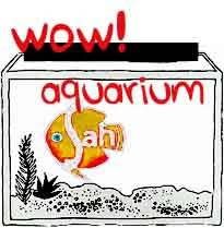 Wow Aquarium
