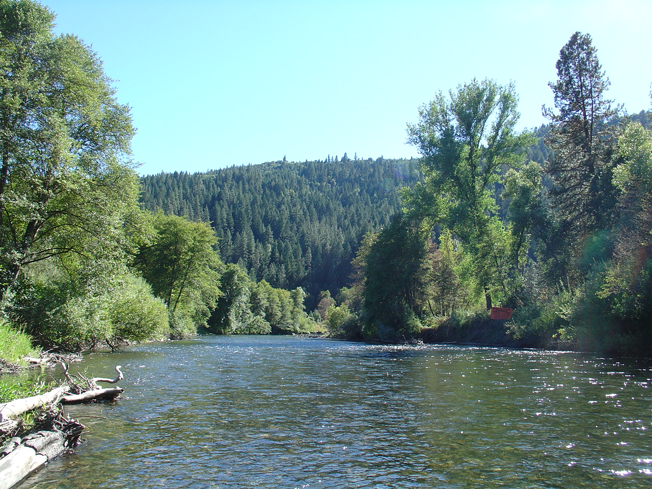 Veroniqque Trinity River Restoration Project, Trinity River, Trinity