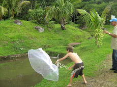 Fishin' for Tilapia