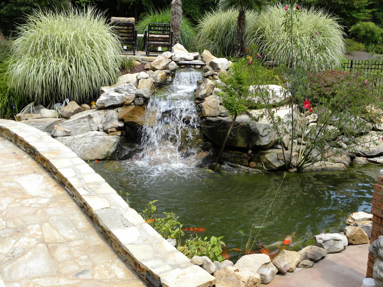 koi-pond-winnipeg-5.jpg