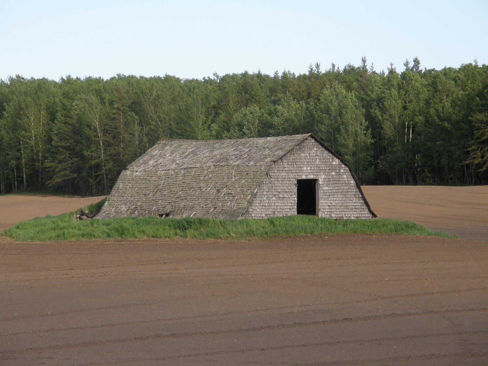 Fawcett Lake Moose Portage