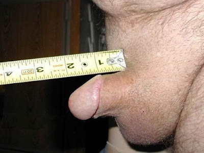 Pictures Of Accurately Measured Penis 15
