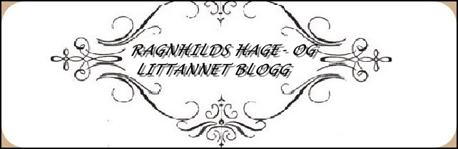 Ragnhilds hage- og littannet blogg