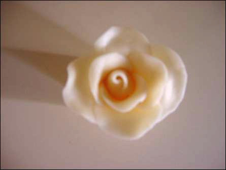 [mamerose12.tif.jpg]