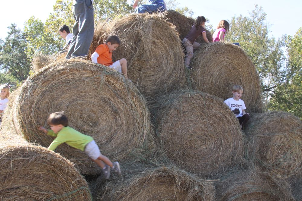 The Lowry's Old Baker Farm