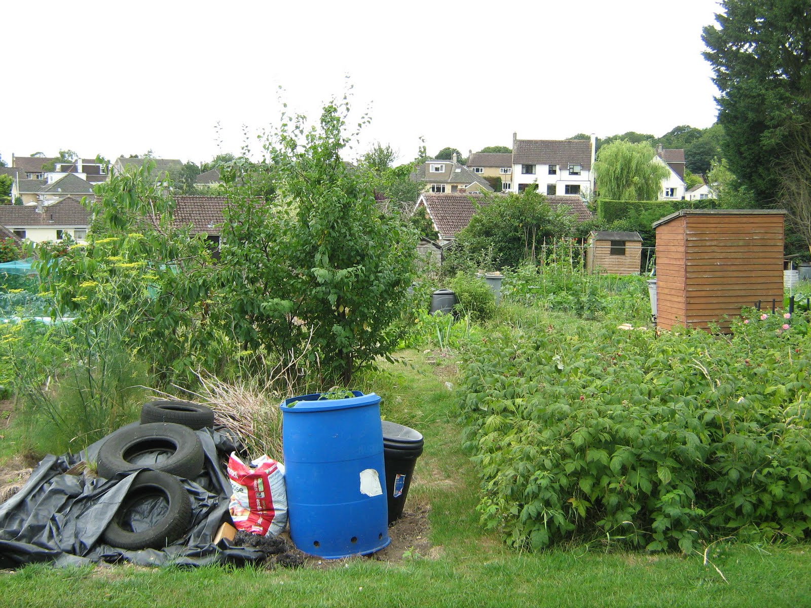 Fancy Getting an Allotment?