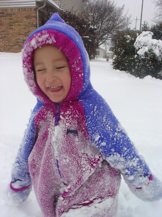 [2007.12.16HollandSnow.jpg]