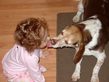 [2006.05.13HollandZippo.jpg]