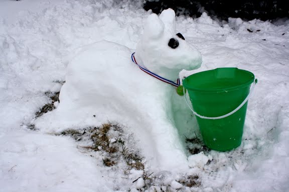 [2010.02.22SnowDog.jpg]
