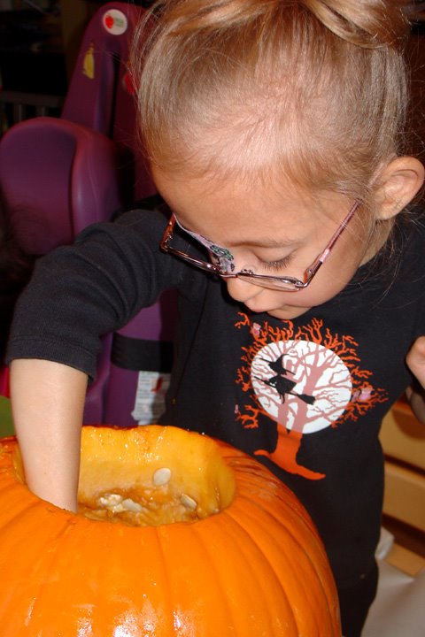 [2008.10.19HollandPumpkin.jpg]