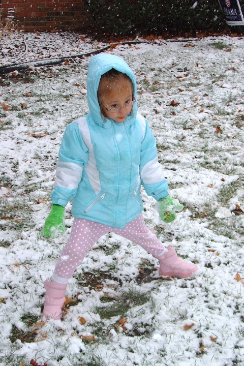 [2008.11.16HollandSnow.jpg]