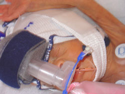 [2004.09.01HollandCPAP2ndDay.jpg]