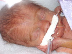 [2004.09.01EdenBackOnVent.jpg]